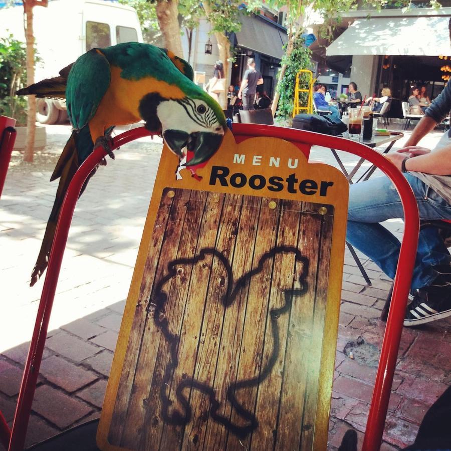 Rooster Suites Атина Екстериор снимка